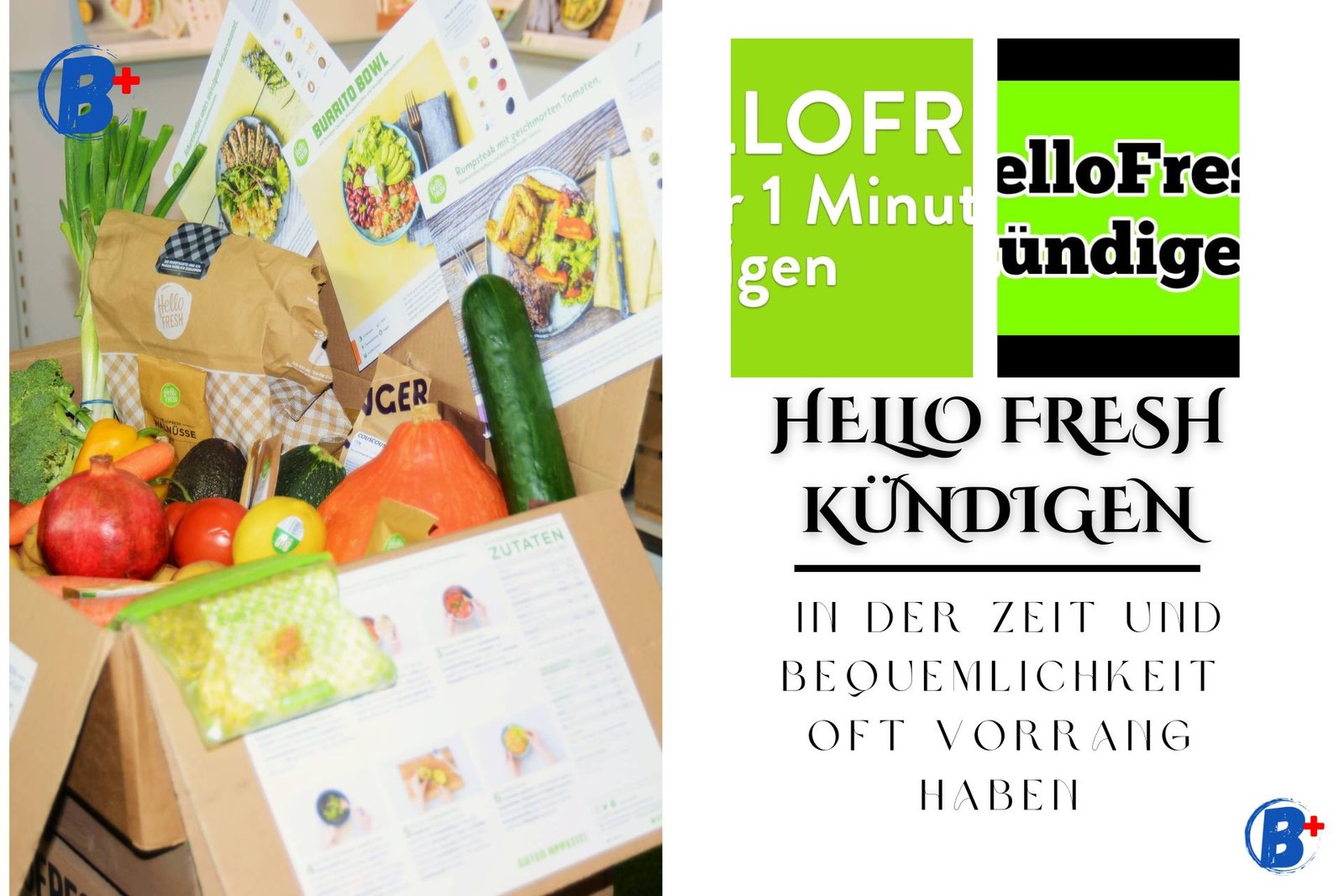 Alles, Was Sie über Hello Fresh Kündigen Wissen Müssen