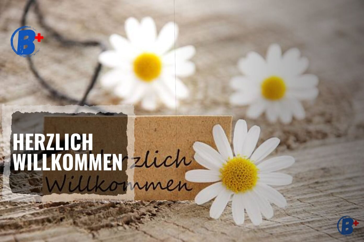 Herzlich Willkommen Groß Oder Klein blogpositiv.de