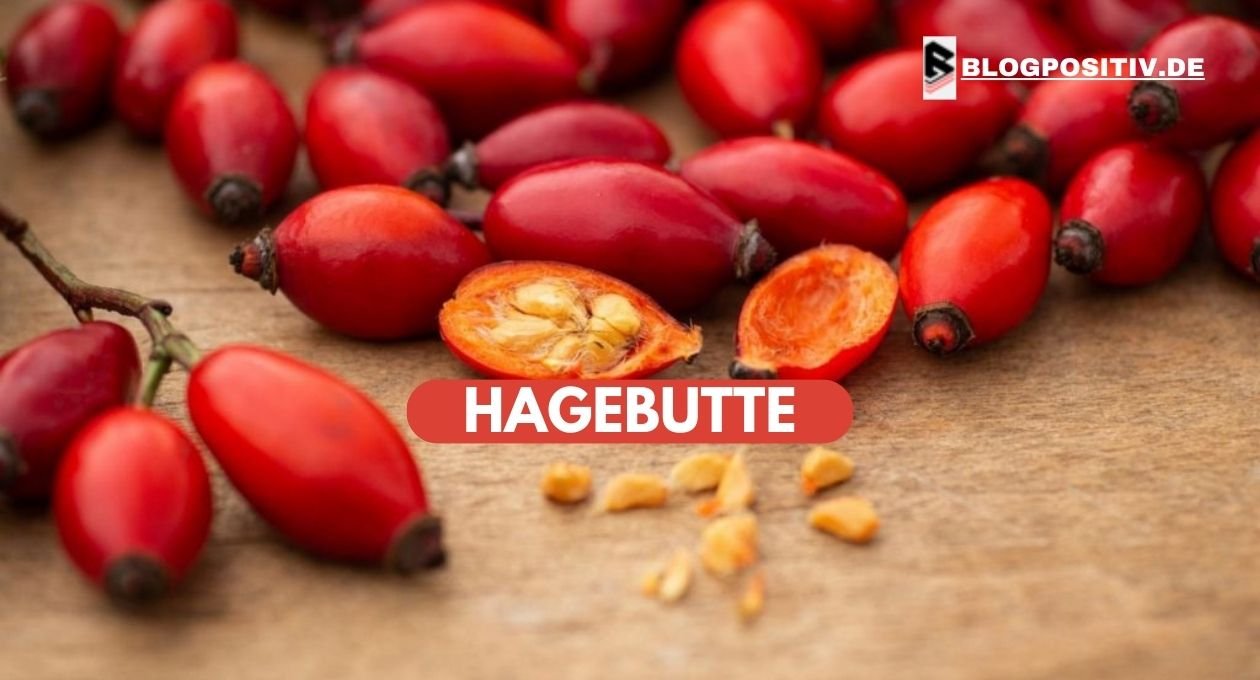 hagebutte