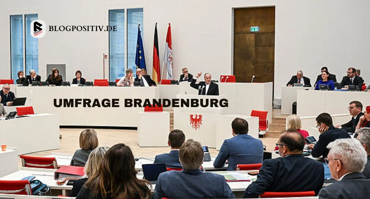 umfrage brandenburg